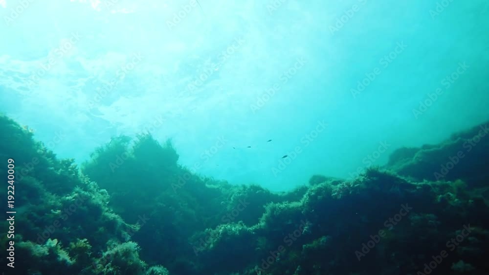 Underwater view of reef with surging waves on the surface Underwater view of reef with surging waves on the surface