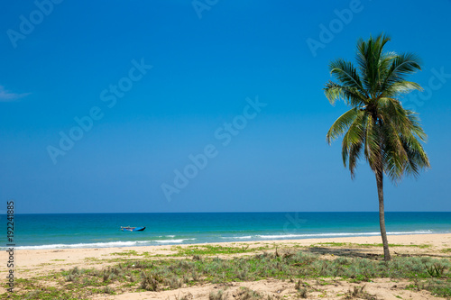 beach and tropical sea © photolink