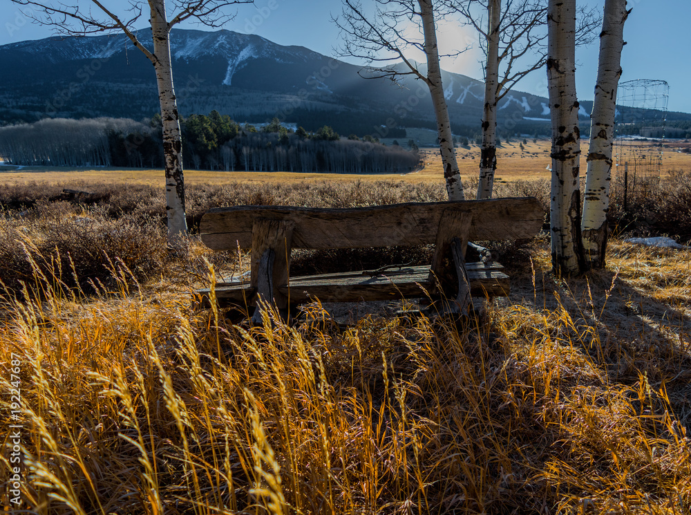 Obraz premium Old Wooden Bench In The Prairie