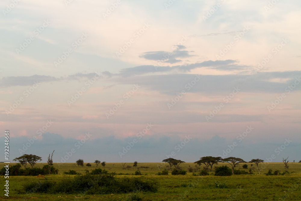 Serengeti National Park, Tanzanian national park in the Serengeti ecosystem in the Mara and Simiyu regions