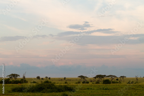 Serengeti National Park  Tanzanian national park in the Serengeti ecosystem in the Mara and Simiyu regions