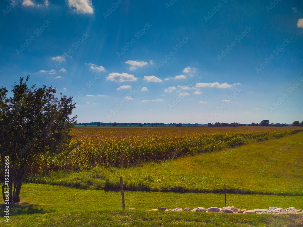 Fototapeta Illinois Countryside