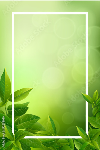 Green tea leaves vector nature background.