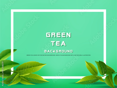 Green tea leaves vector nature background.