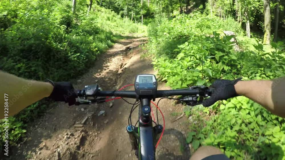 POV: Extreme bike rider speeding downhill a forest trail on a sunny day. Cyclist riding an electric bike getting fresh air in the beautiful outdoors. Unrecognizable male biker on an e-bike cycling. POV: Extreme bike rider speeding downhill a forest trail on a sunny day. Cyclist riding an electric bike getting fresh air in the beautiful outdoors. Unrecognizable male biker on an e-bike cycling.