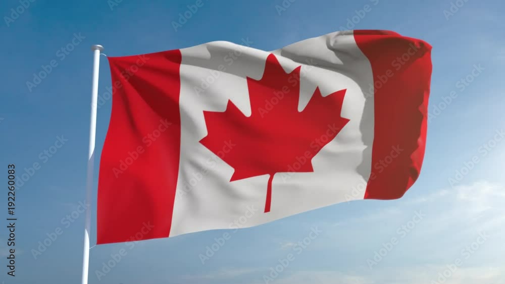 50fps seamless looping Canada flag in 4k, alpha channel included as matte. Beautiful detailed fabric waving in the wind. 4k. Slow motion in 25fps 50fps seamless looping Canada flag in 4k, alpha channel included as matte. Beautiful detailed fabric waving in the wind. 4k. Slow motion in 25fps
