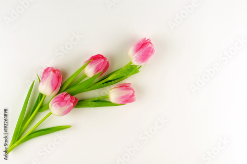 bouquet of pink tulips on a white background.Holiday concept. Copy space