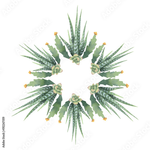 Watercolor vector round mandala of cacti and succulent plants isolated on white background.