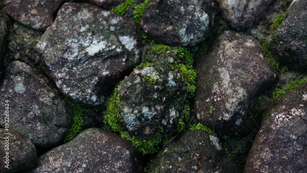 moss and stone