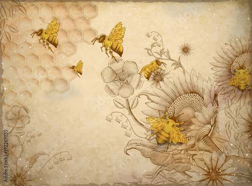 Fototapeta Naklejka Na Ścianę i Meble -  Honey bees and wildflowers