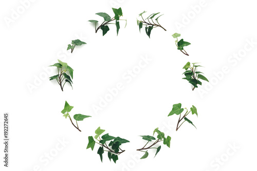 Ivy Wreath On White Background