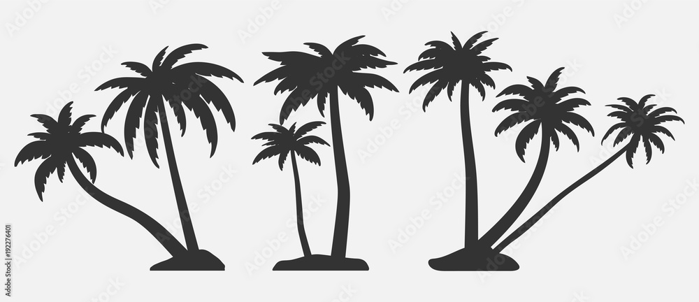 Fototapeta Tropikalne drzewa do projektowania o naturze. Zestaw sylwetki drzew palmowych. Ilustracje wektorowe na białym tle.
