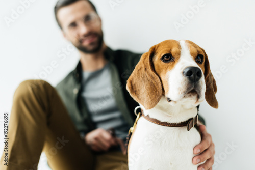 man palming cute beagle isolated on white