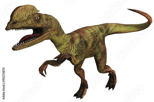 Dilophosaurus dinosauro a due creste © imagebos