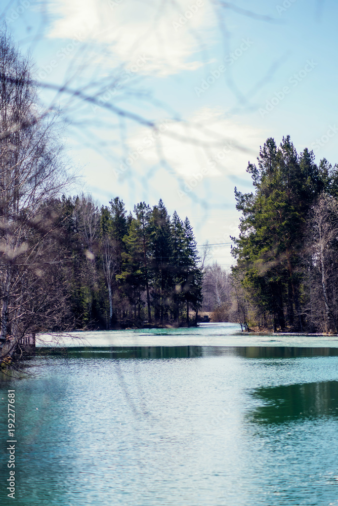 spring landscape, melting ice on a forest lake, clear water