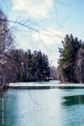 Fototapeta Naklejka Na Ścianę i Meble -  spring landscape, melting ice on a forest lake, clear water