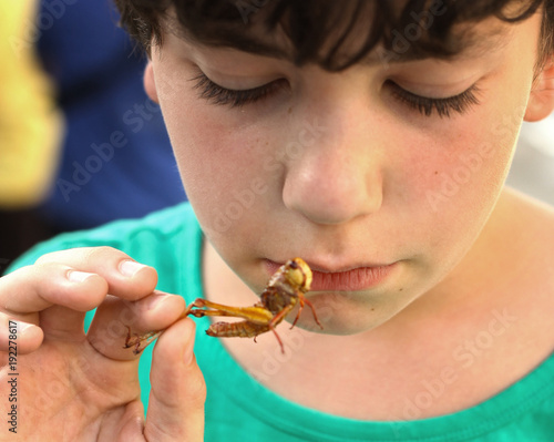 teenager boy with disgust grimace hold unusial strange thai food roasted grasshopper photo