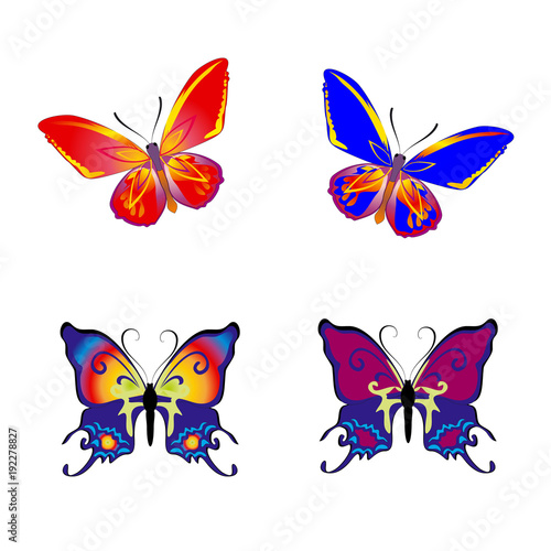 Beautiful Butterfly collection on white background,