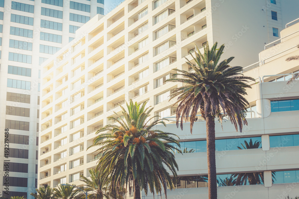 Obraz premium Biurowce Santa Monica z palmami