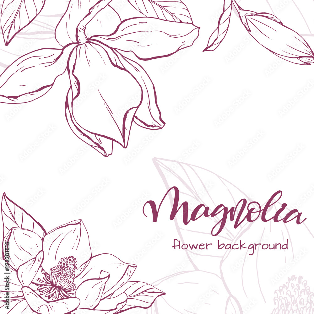 Sketch linear magnolia blossom.