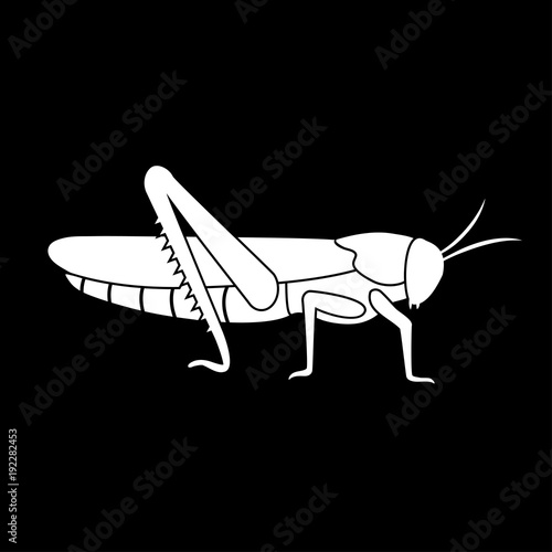Flat silhouette of locust standing on paws.