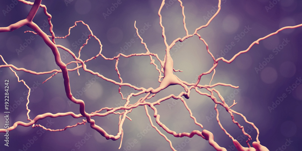 Dopaminergic neuron, computer reconstruction. Degeneration of this