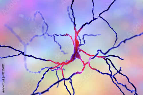 Dopaminergic neuron, computer reconstruction. Degeneration of this brain cells are responsible for development of Parkinson's disease, 3D illustration photo