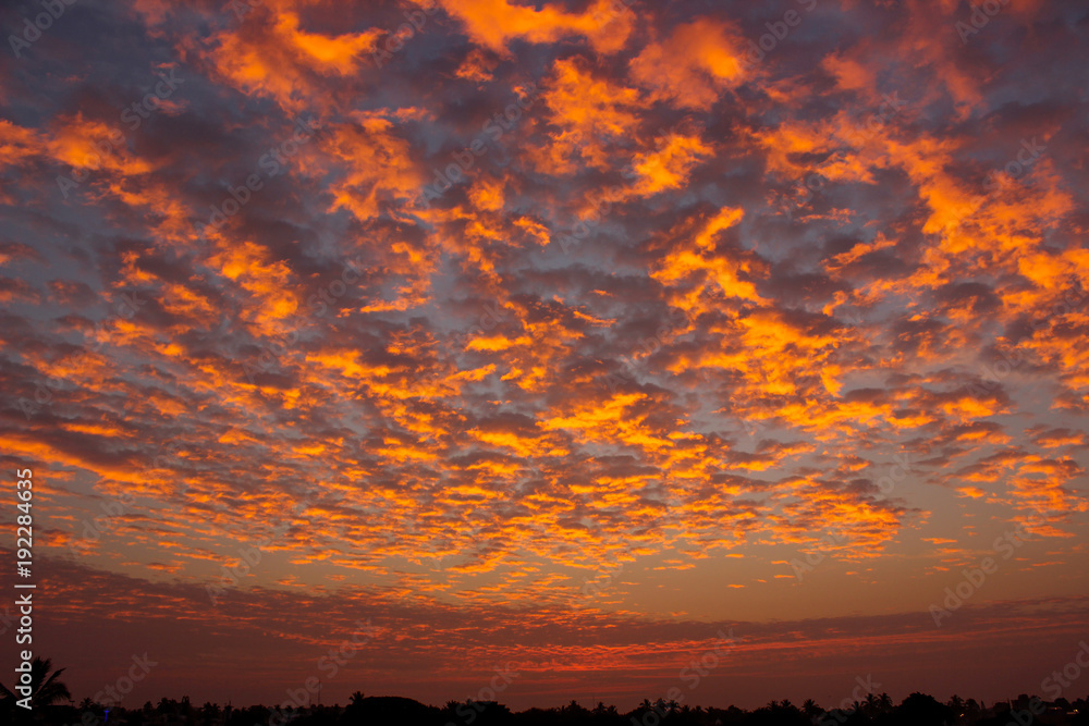 Fototapeta premium Amanecer 1