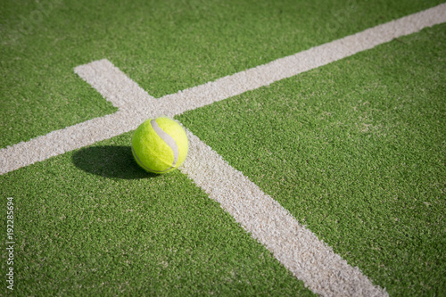 Paddle tennis court and ball