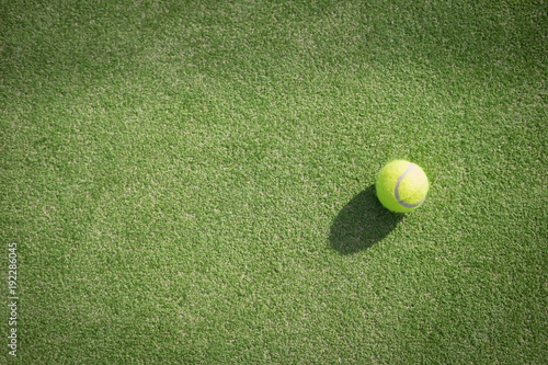 Paddle tennis court and ball