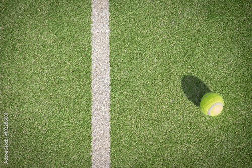 Paddle tennis court and ball