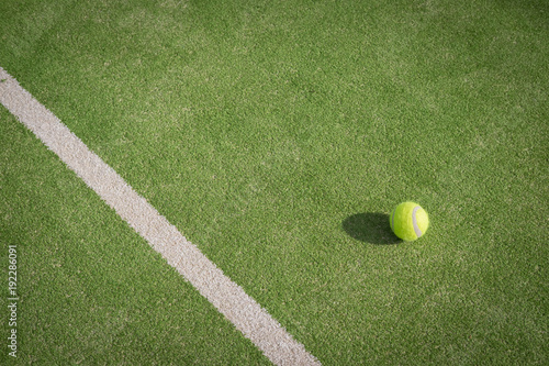 Paddle tennis court and ball