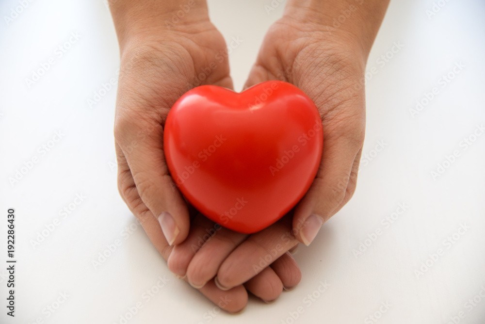 hands with heart on white background hands with heart on white background