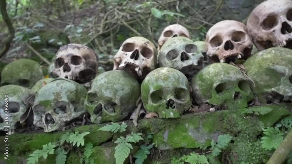 Mysterious ossuary of stacked skulls and bones deep in the rainforest Mysterious ossuary of stacked skulls and bones deep in the rainforest
