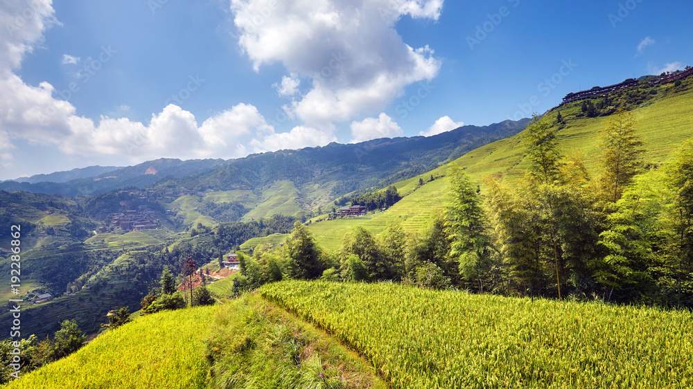 Obraz premium Longji Rice terraces (Dragons Backbone) in Longsheng County, China.