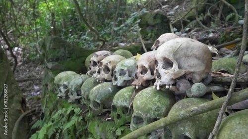 Human skulls and bones stacked on each other in a spooky forest photo