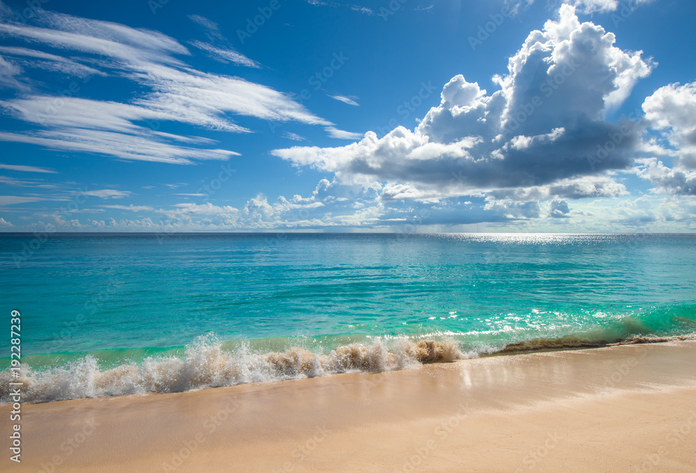 Obraz premium Tropical island beach. Perfect vacation background.