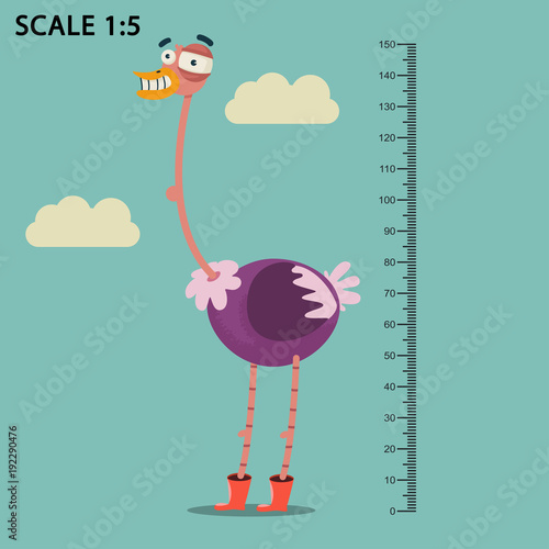Kids meter wall with a cute smiling cartoon ostrich and measuring ruler. Vector illustration of a bird isolated on a blue sky and white cloud background.