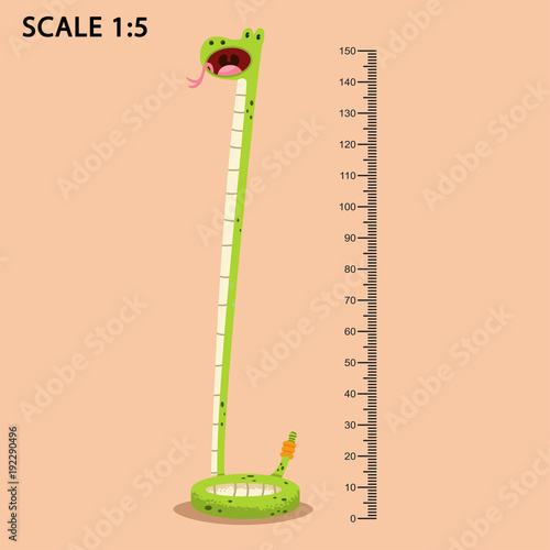 Kids meter wall with a cute smiling cartoon snake and measuring ruler. Vector illustration of an animal isolated on background.