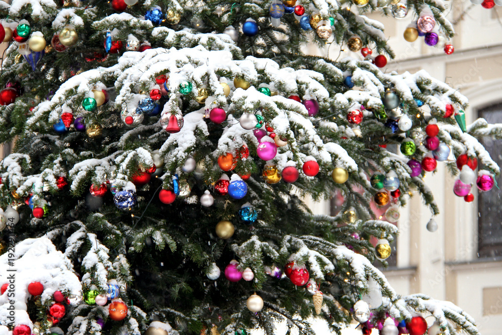 Fototapeta premium Christbaum