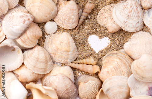 Heart drawn on the sand on the beach among seashells. Vacation, beach.