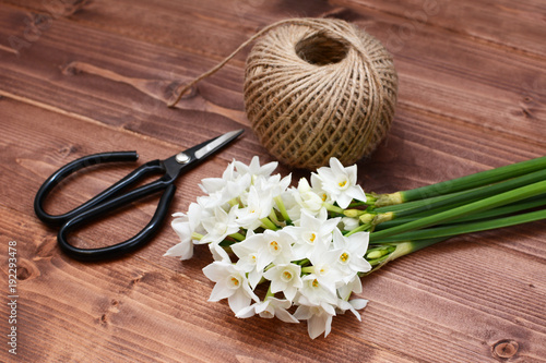 Fototapeta Naklejka Na Ścianę i Meble -  Florist scissors with white narcissi and ball of twine