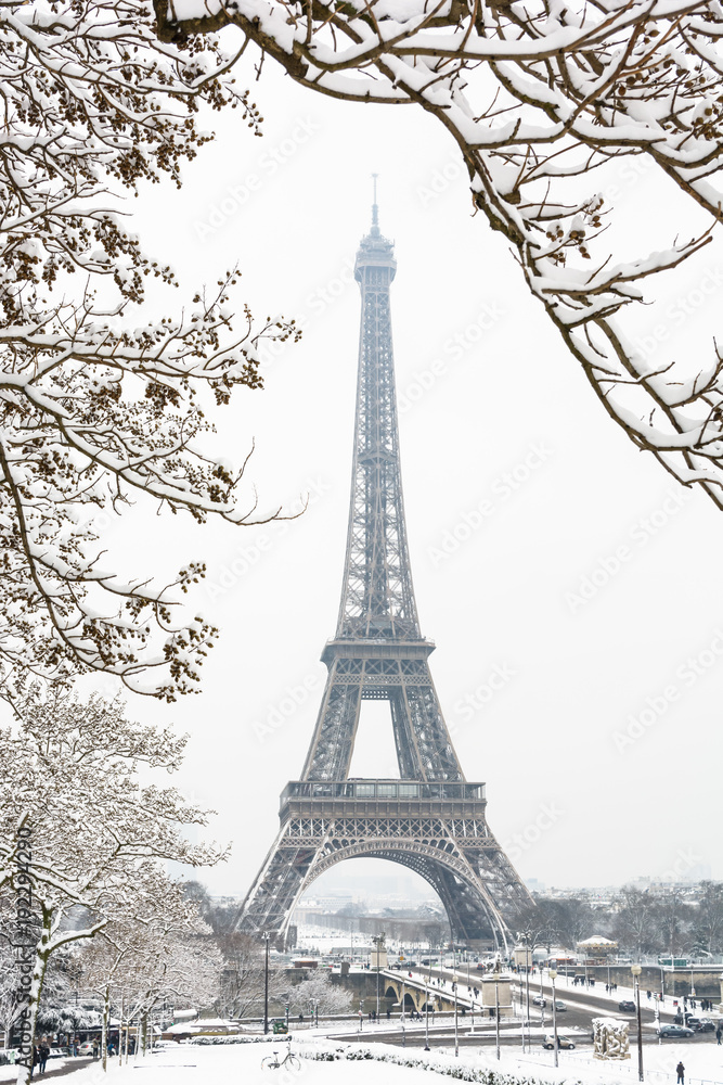 The Eiffel tower seen through snow-covered branches on a snowy day in Paris, France, with the top of the tower disappearing slightly in the mist.