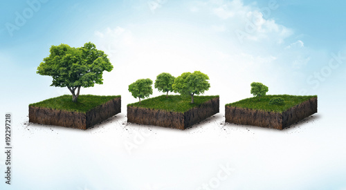 3d illustration of a soil slice, green meadow with trees isolated on white photo