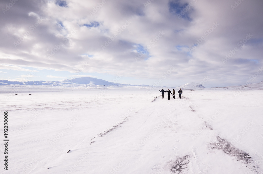 Fototapeta premium iceland nature, winter travel photo in snow, adventure, trip, hiking, mountains.