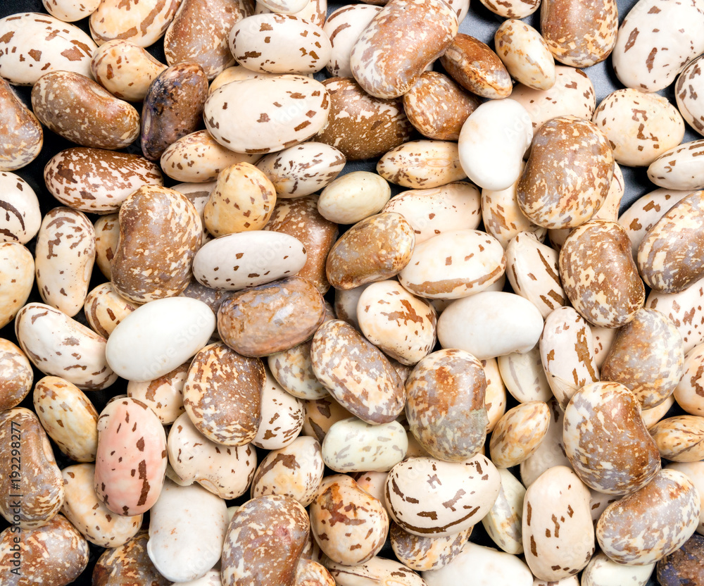 Big Light white bean grain, bean pod, a lot of beans texture pattern background for web design and sale Big Light white bean grain, bean pod, a lot of beans texture pattern background for web design and sale