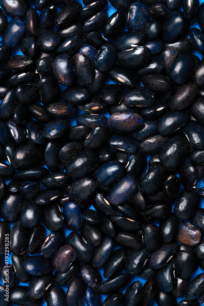 Big black bean grain, bean pod, a lot of beans texture pattern background for web design and sale Big black bean grain, bean pod, a lot of beans texture pattern background for web design and sale