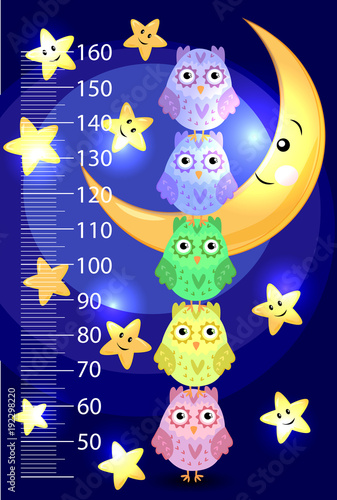 Kids height meter with cute owls. Funny stadiometer from 50 to 150 centimeter. Vector illustration