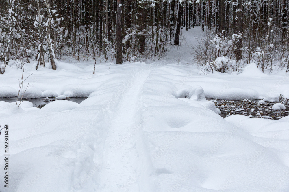 snow-covered forest and a bridge across the stream snow-covered forest and a bridge across the stream