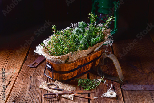 Herbal collection of: thyme,oregano, rosemary